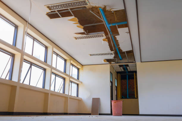 Reliable Woods Cross, UT Water damage restoration Solutions