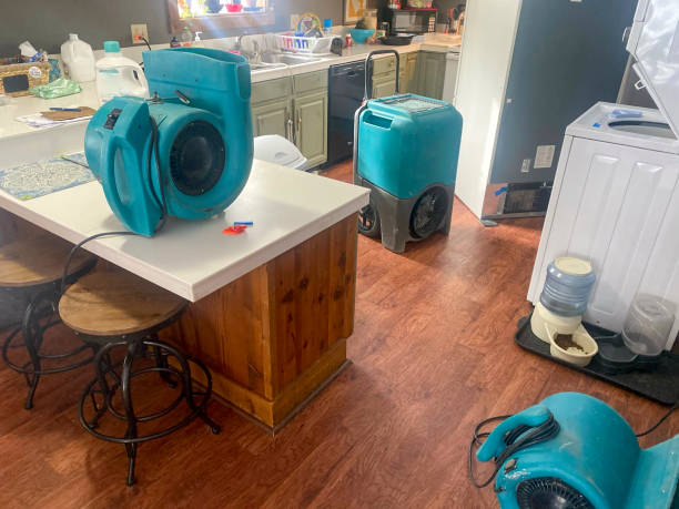 Best Water damage cleanup near me  in Woods Cross, UT
