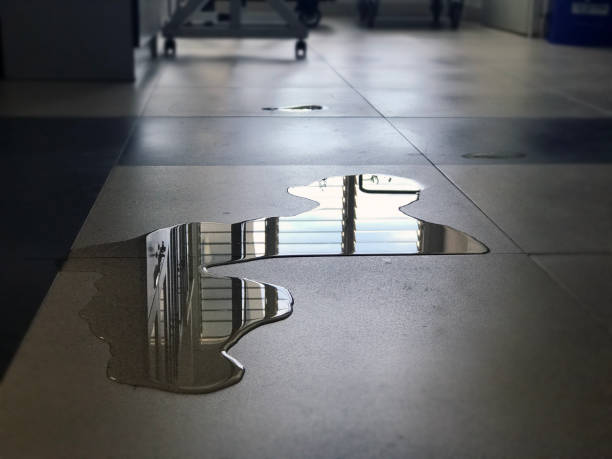 Best Local water damage restoration  in Woods Cross, UT