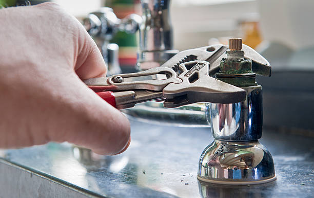 Best Mold removal after water damage  in Woods Cross, UT