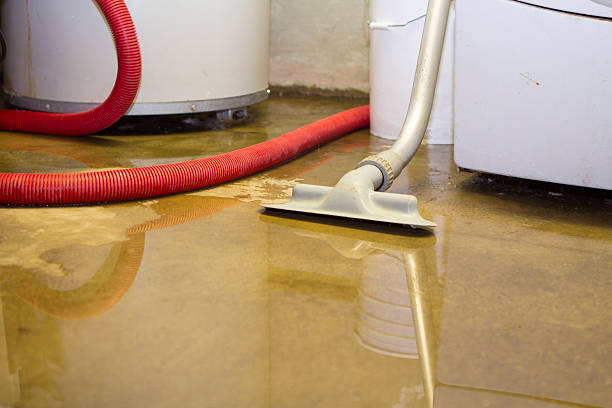 Best Ceiling water damage repair  in Woods Cross, UT