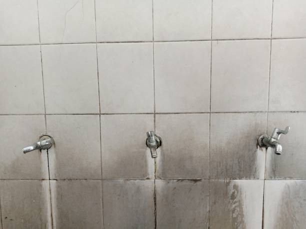 Best Water damage contractors near me  in Woods Cross, UT