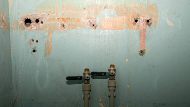 Best Flooded house restoration  in Woods Cross, UT